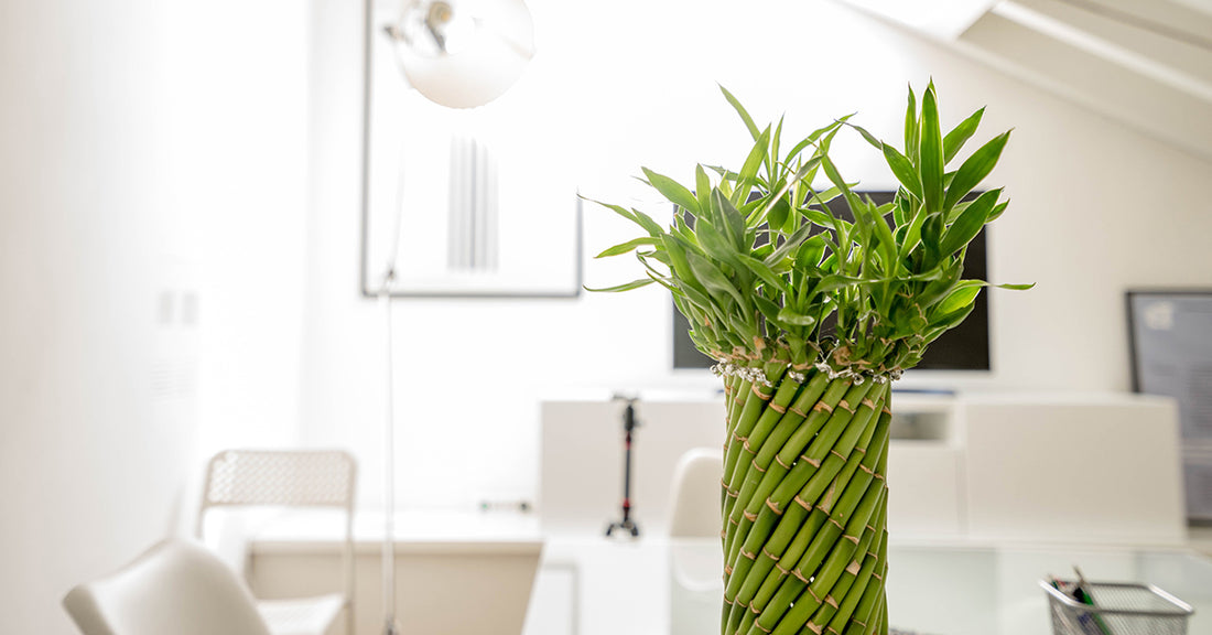 10 Crucial Questions to Ask Your Plastic Surgeon During a Consultation