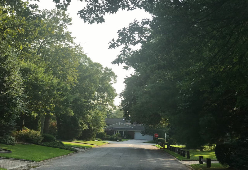 Lake Success: Experience Luxury Living and Family-Friendly Vibes