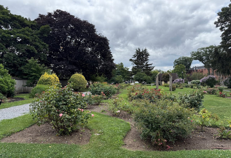 Village Green Park: Reconnect with Nature and Mindfulness