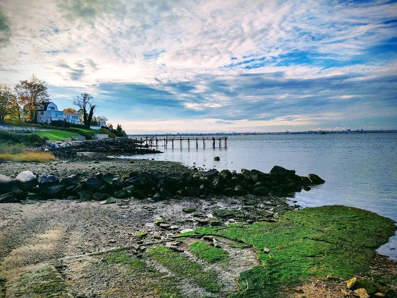 Steppingstone Park: Celebrate Spring with Nature, Views, and Community