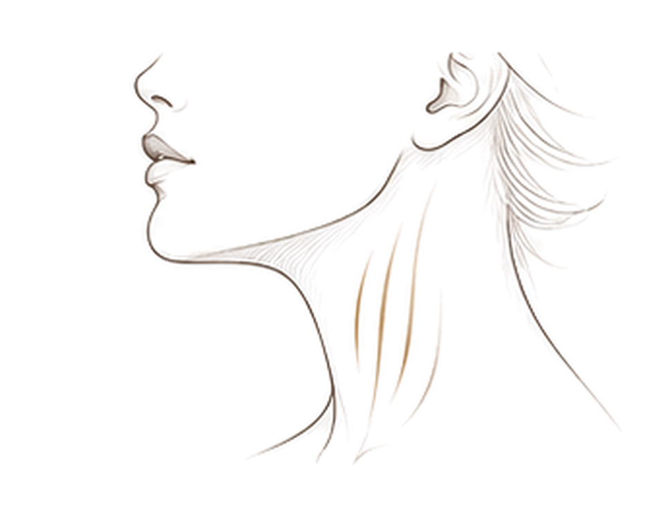 Neck